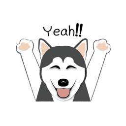 The Husky Life