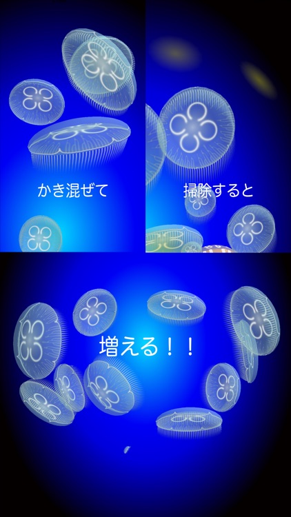 Jellyfish Simulator
