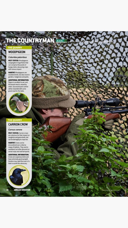Airgun Shooter screenshot-3