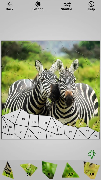 Photo Jigsaw Puzzle Maker screenshot-3