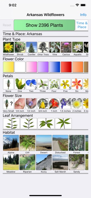Arkansas Wildflowers(圖1)-速報App