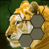Jigsaw Hexa Puzzle Art pour PC