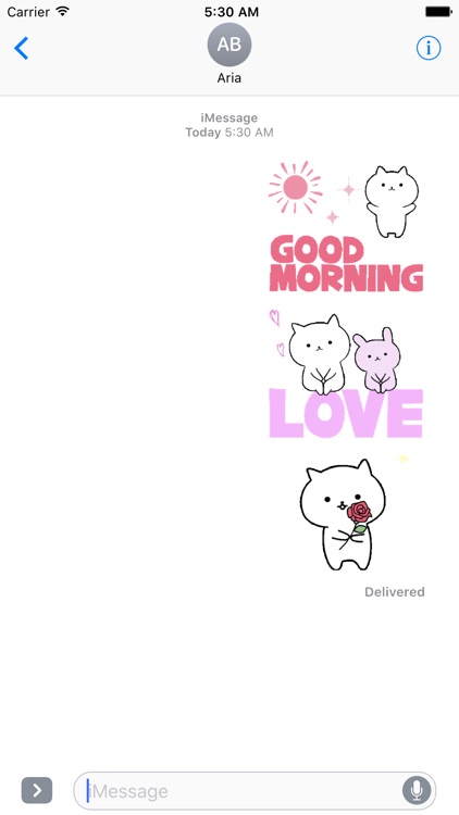 Animated Chat With Cute Cat