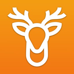 OrangeDeer