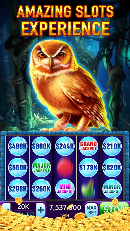 Slots: Vegas Casino Slot Games screenshot-3