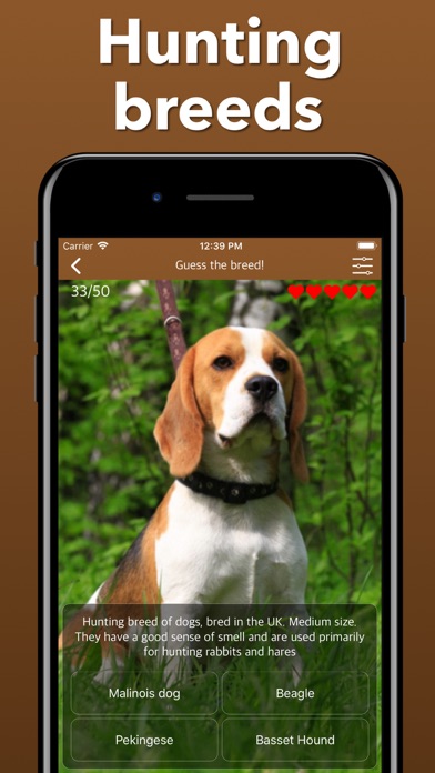 Dog Breeds Training Games Life screenshot 4