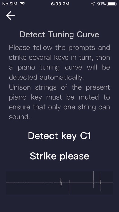 Piano Tuner(Home Edition) screenshot 3
