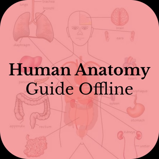 Human Anatomy Guide Offline