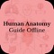 Human Anatomy Guide Offline the human body anatomy then you are at the right place