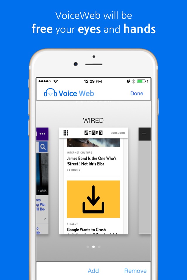 VoiceWeb by RunNGunSoft screenshot 2