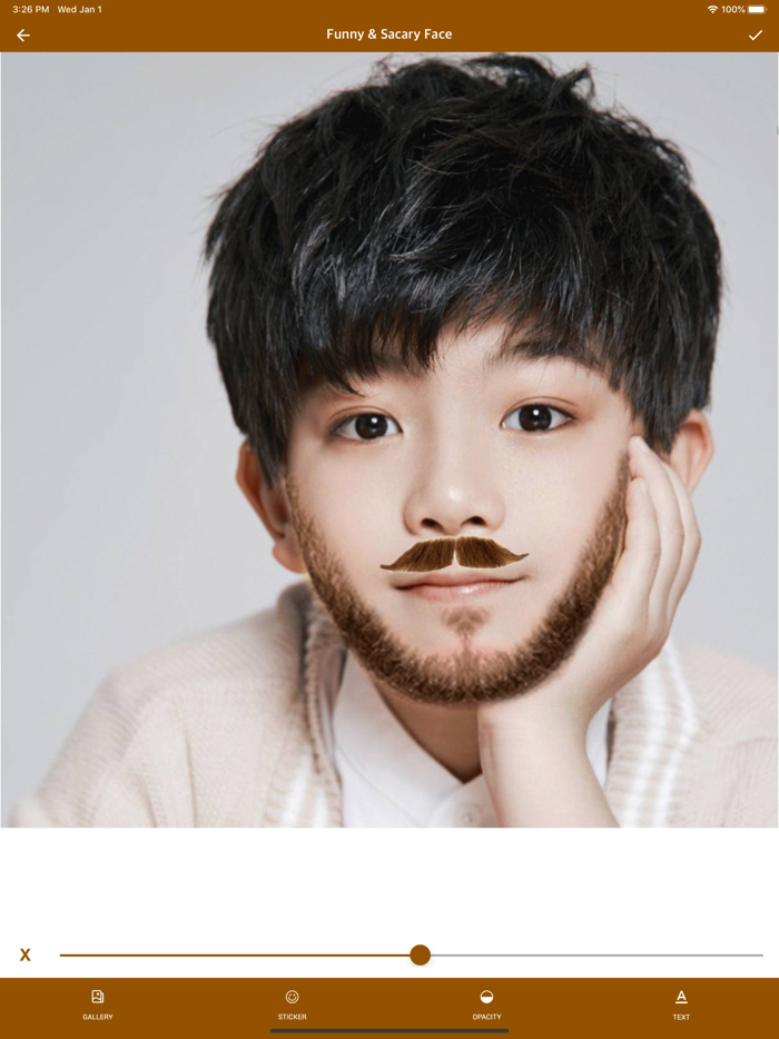 Funny  Scary Face Maker