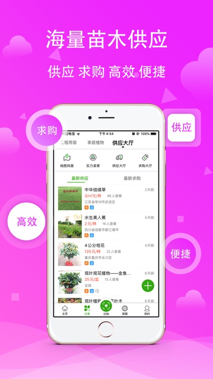苗木之家 - 打造最美阳台 screenshot-3