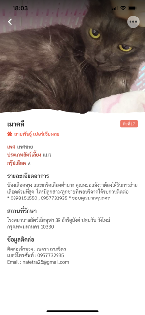 Catster(圖3)-速報App