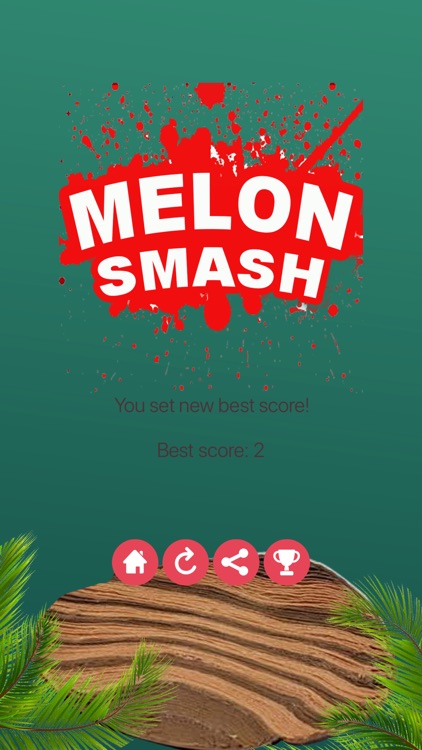 Melon Smash screenshot-7