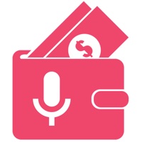 Daily Expense Record