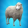 Get My Sheep Simulator for iOS, iPhone, iPad Aso Report