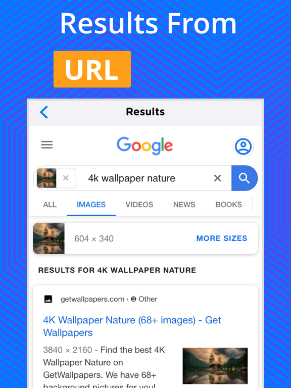 Reverse Image Search - OCR screenshot 4