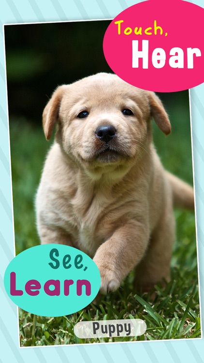 Toddler Sound 123 - Flashcards