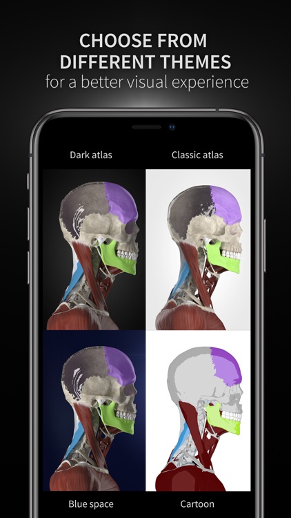 Anatomyka screenshot-9