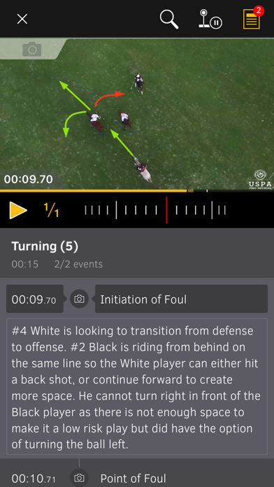 Polo Umpire screenshot 3