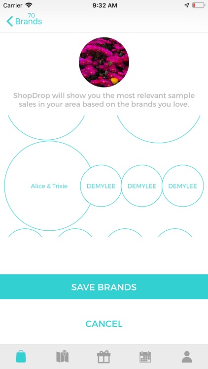 ShopDrop Sample Sales