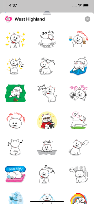 West Highland White Terrier+(圖1)-速報App