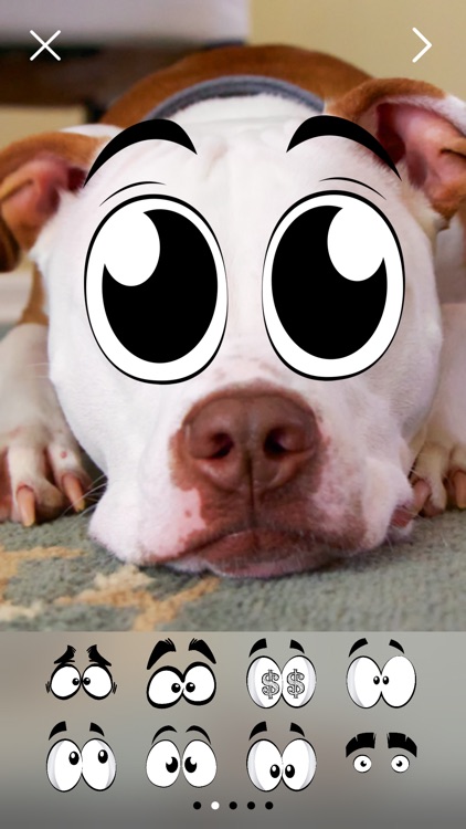 Crazy Eyes Pro Photo Stickers screenshot-4