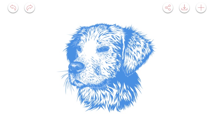 Drawing App Doodle Paint Draw