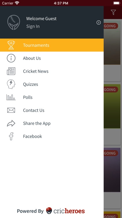 DELHI L'iL CRICKET LEAGUE screenshot-3