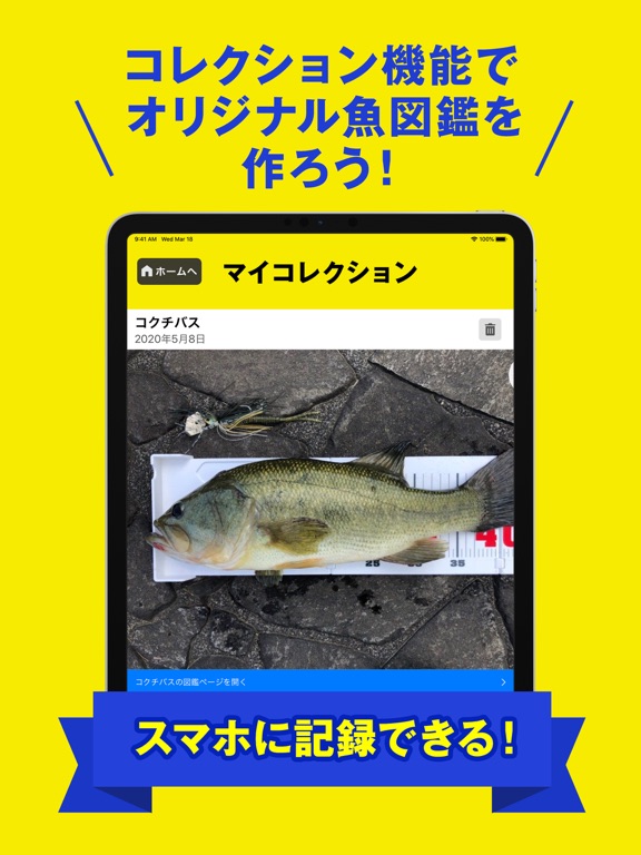 フィッシュ-AIが魚を判定する未来の魚図鑑のおすすめ画像5