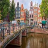 The Amsterdam Travel Guide