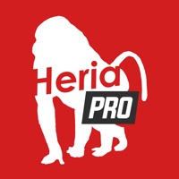 Heria Pro app funktioniert nicht? Probleme und Störung