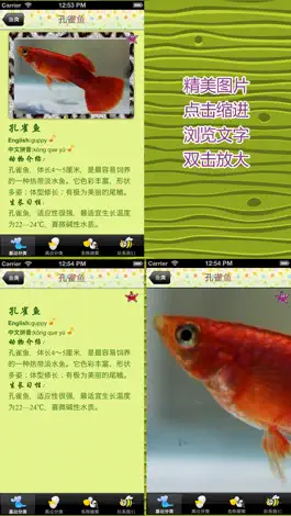 Game screenshot 中英文儿童识物及游戏：常见动物 apk