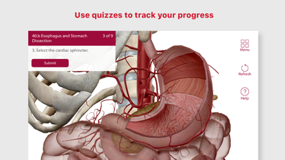 Anatomy & Physiology