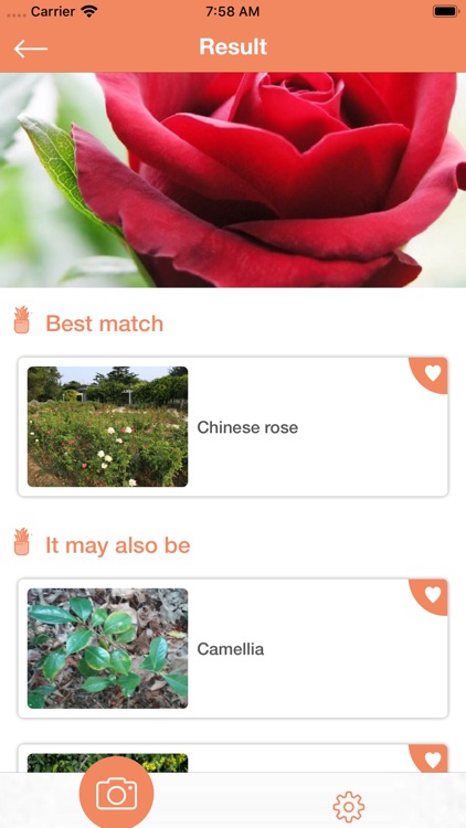 PlantDetect Lite - Identifier