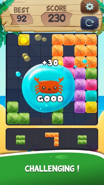 Block Puzzle Blast* screenshot-4