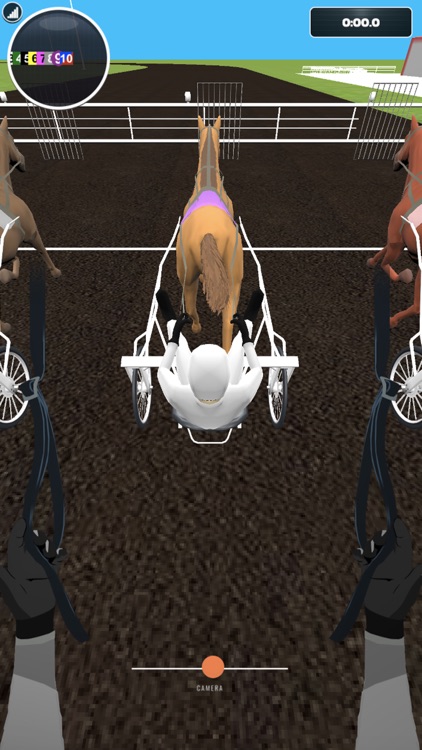 Catch Driver: Horse Racing