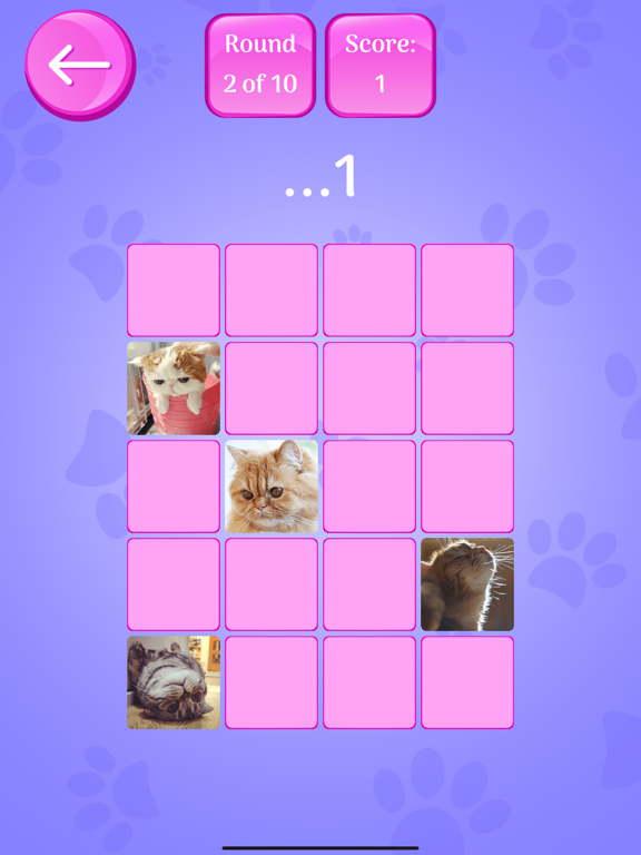 Cute Cats Memory Match Game screenshot 3