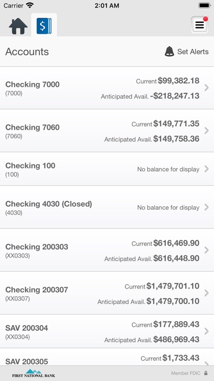 FIRST NAT BIZ APP screenshot-3