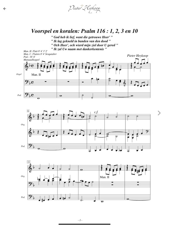 Screenshot #6 pour Pieter Heykoop Music