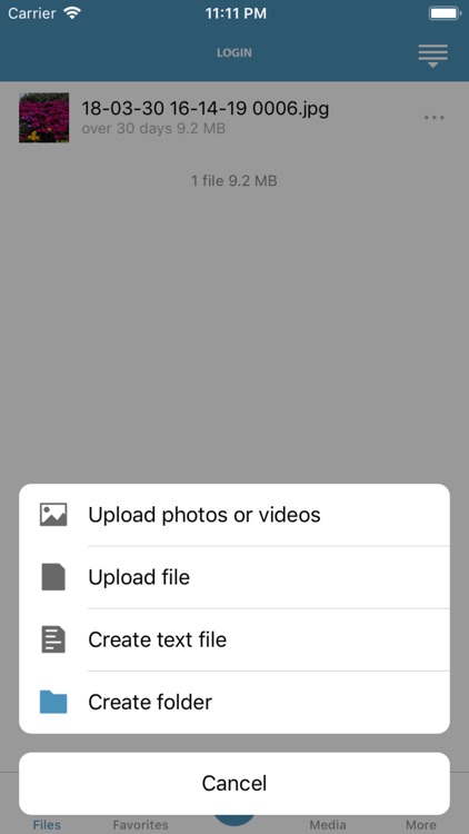 Pioneiro Contabilidade