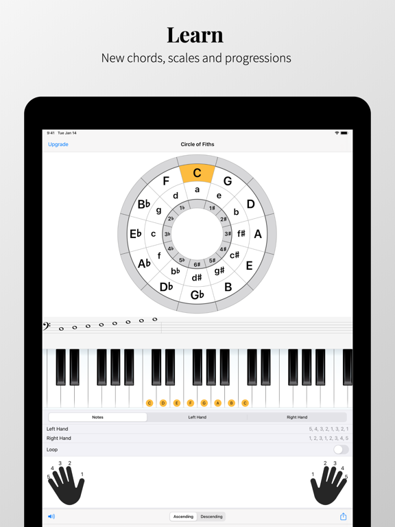 Chords and Scales - interactive scale, chord and chord progression