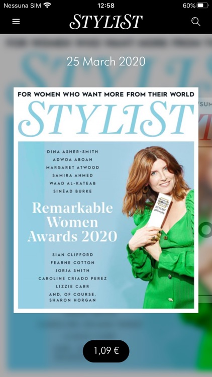 Stylist