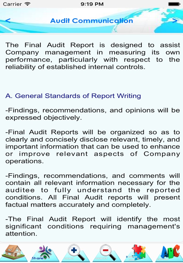 Internal Audit Manual screenshot 4