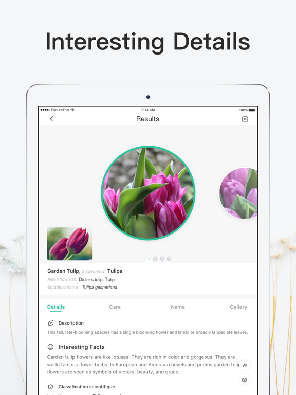 iPad Image of PictureThis - Plant Identifier