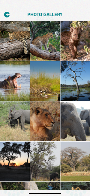 Moremi Game Reserve(圖4)-速報App