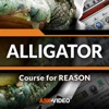 Alligator Course For Reason