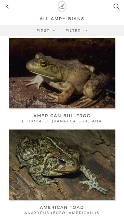 Fieldstone Guide: Amphibians