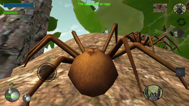 Spider Colony Simulator screenshot-5