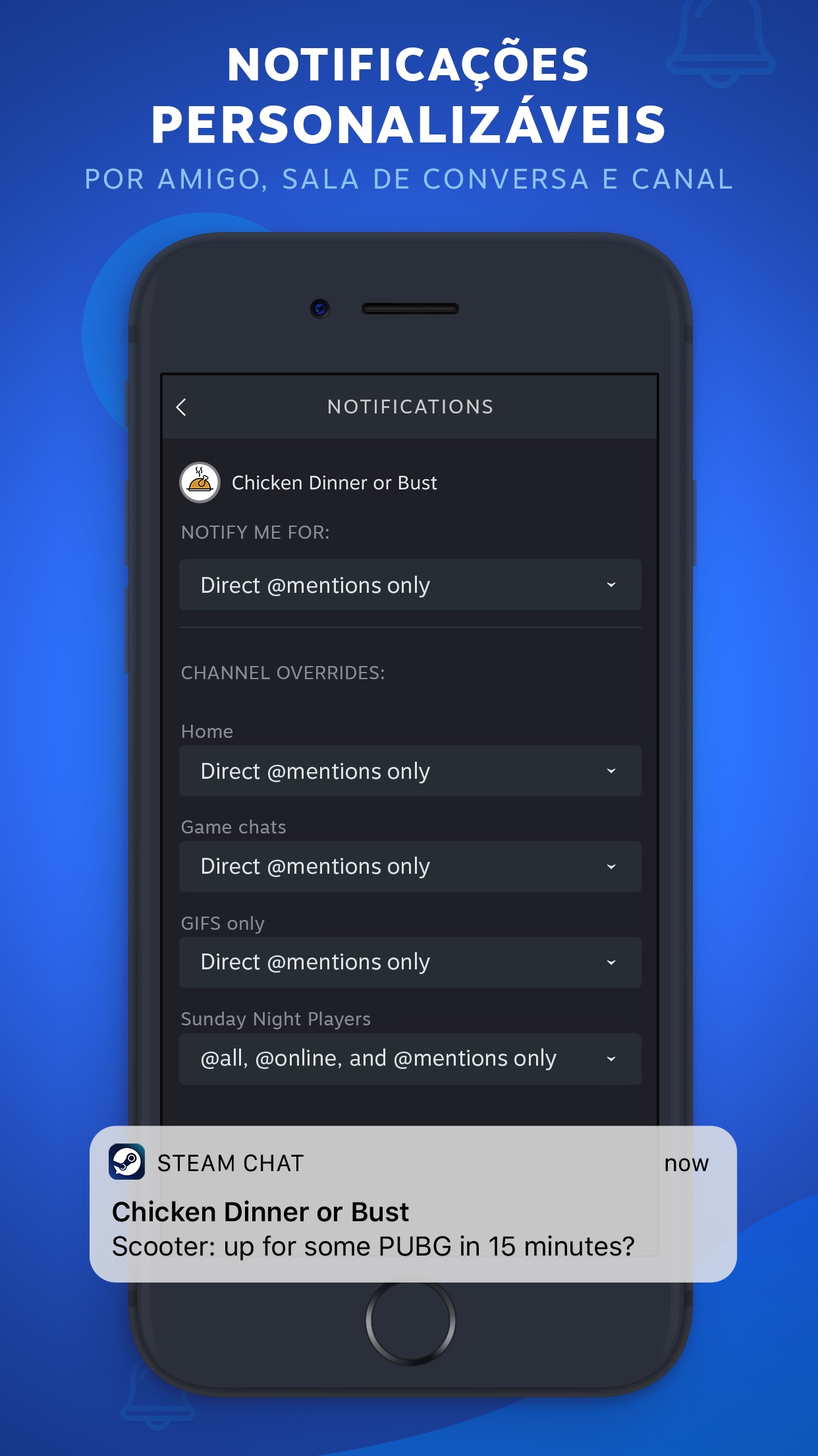 Screenshot do app Steam Chat